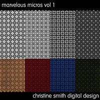 [CSmith_Micro1-2003.jpg]
