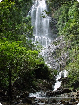 Temurun