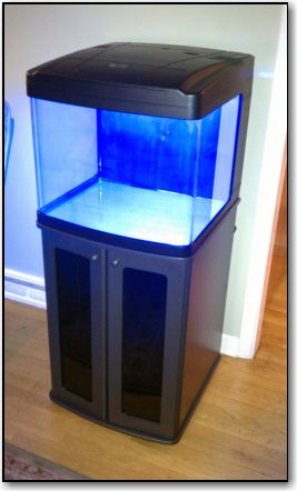 [BioCube 29] Best option for a water heater - All-In-One Tanks - Nano