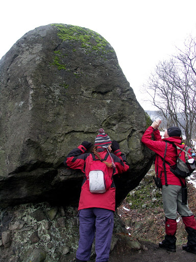 Feltöltött kép