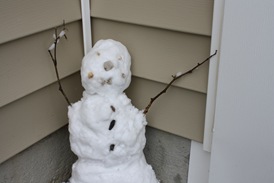 March Snow 042