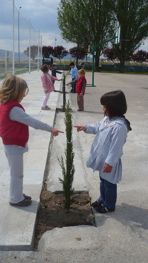 Os tres cipreses