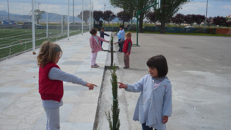 Os tres cipreses