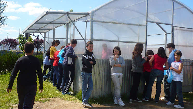 Primera plantación 6º