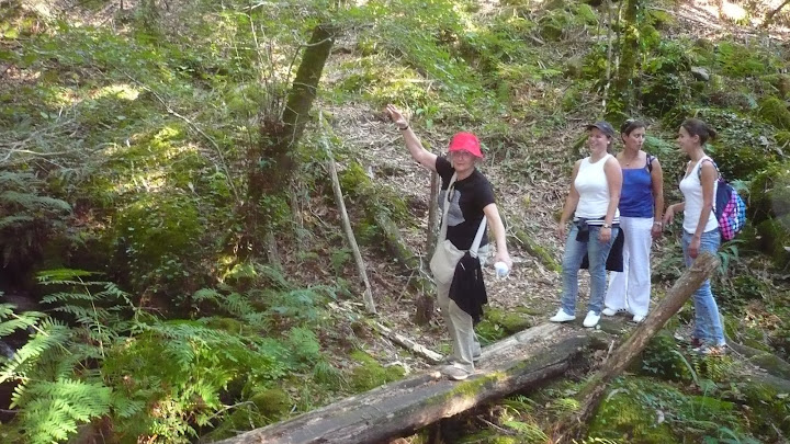 as aventuras do camiño