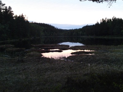 DSC00593