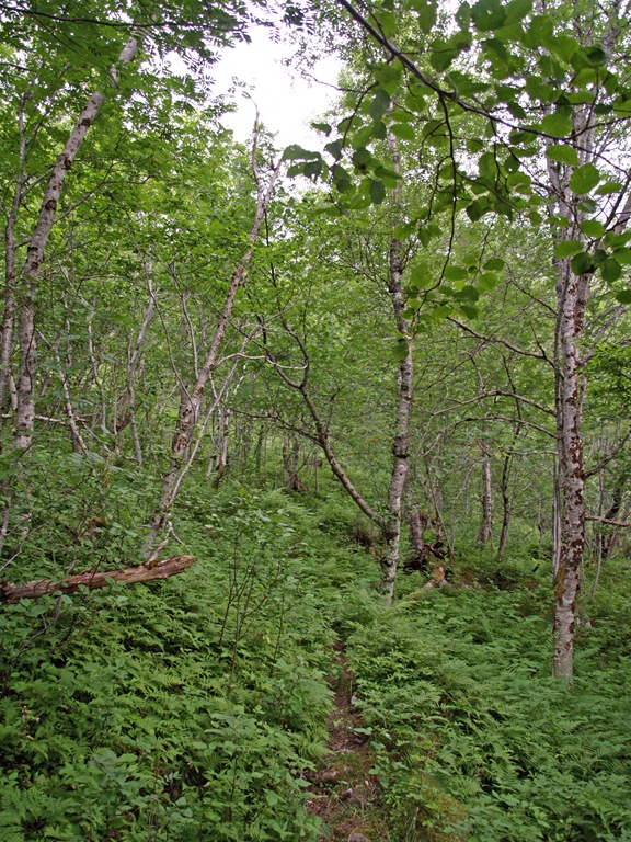 [P7070190_edited[5].jpg]