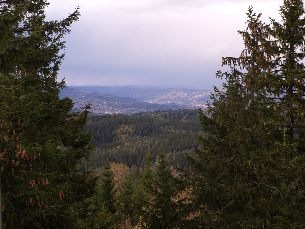 [P9280005[7].jpg]