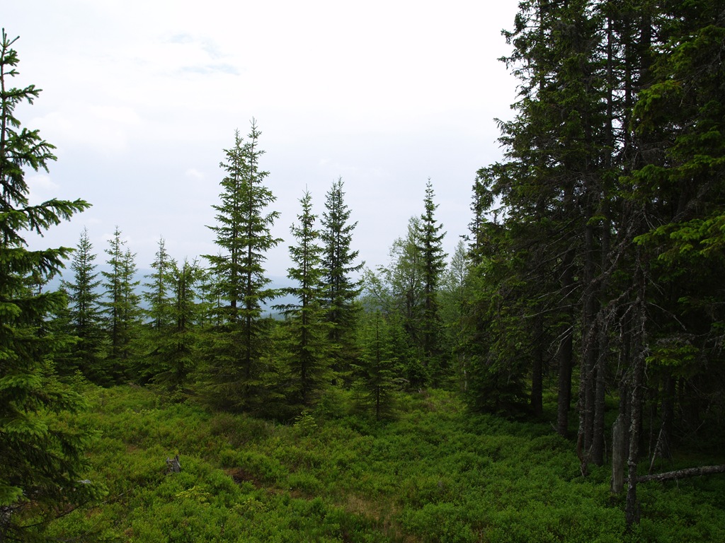 [P7030007[4].jpg]