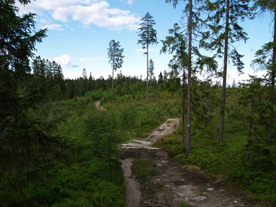 P7060048
