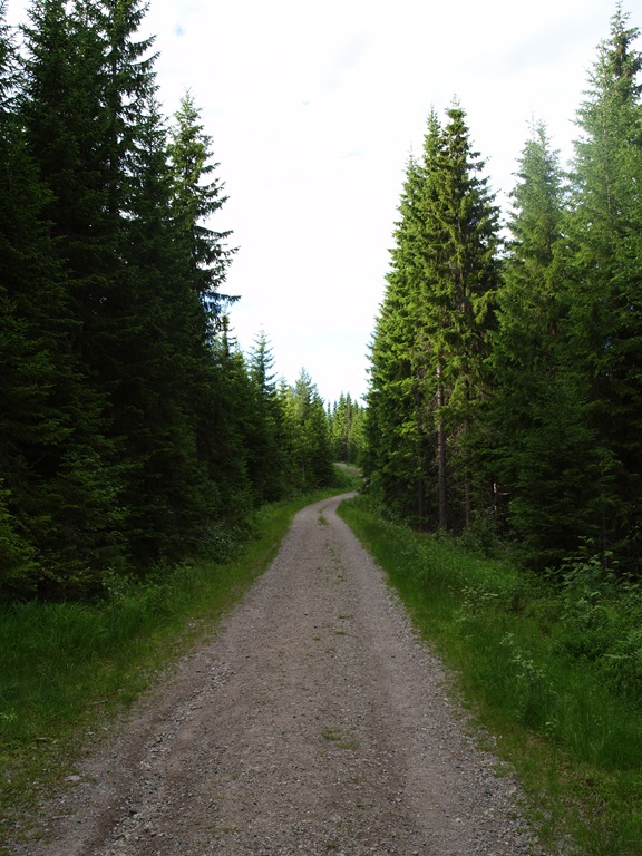 [P7060049[4].jpg]