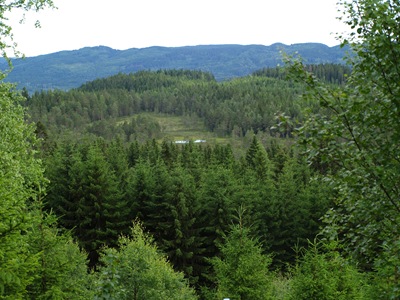 P7060047