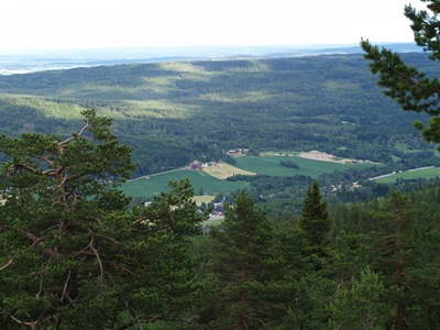 P7060021