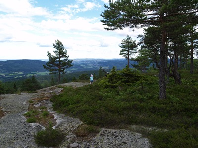 P7060024