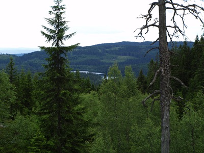 P7060041