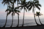 Hawaiian Pacific Horizon framed Palms 