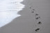 Footprints and receding surf - beach at Waipi'o Valley, Hawaii 