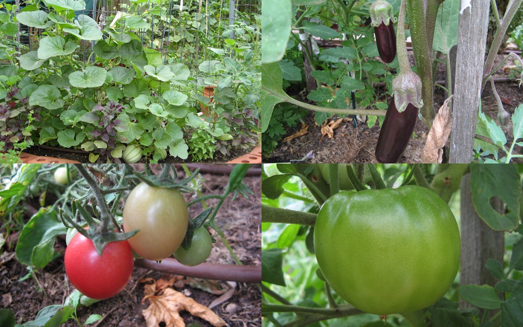 [Xmas-Garden115.jpg]