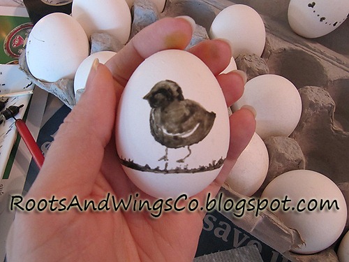 [start of chick egg[3].jpg]