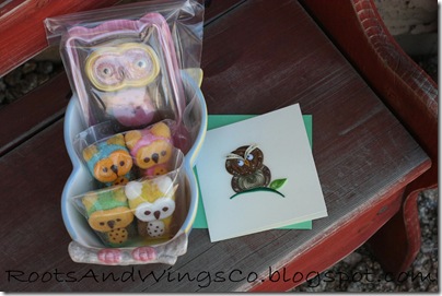 owl Teacher Appreciation Gift