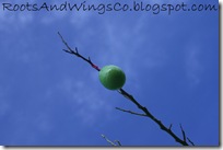 easter egg hunt s easter egg hunt s