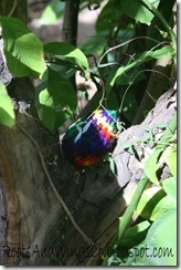 easter egg hunt r easter egg hunt r