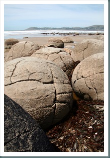 Moeraki boulders
