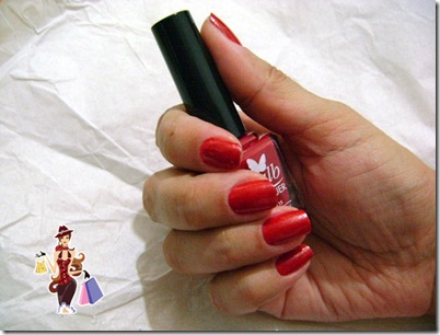 Imagem 029