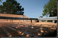 IMG_1766 IMG_1766