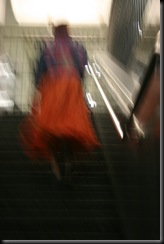 IMG_1546 IMG_1546