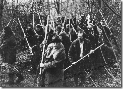 beuys 1973 save the woods
