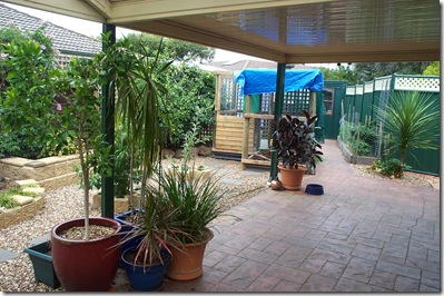 Garden Update 005