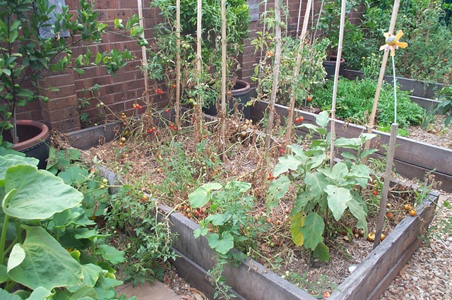 [Burnt Garden 002[3].jpg]