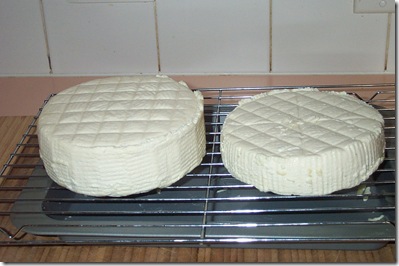 Better Feta 001