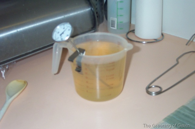 [PickledOnions0053.jpg]