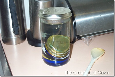 Pickled Onions 006