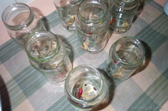 [PickledOnions0074.jpg]