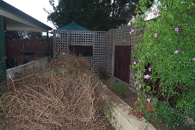 [Birthday weekend 008[3].jpg]