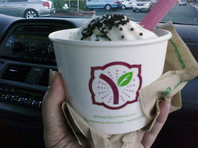 Yogurtland Dessert