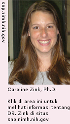 Caroline Zink, Ph.D.