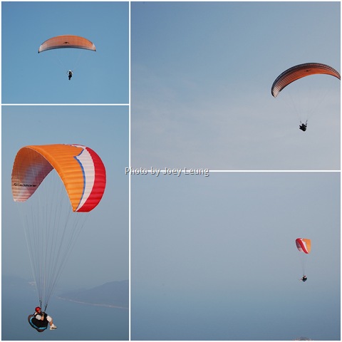 [paragliding[2].jpg]
