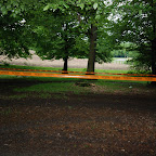 DSC_2536.JPG