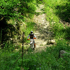 IMG_4339.JPG