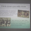 Album anno 2010/2011 - Arteterapia Quando il bello porta al benessere