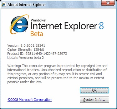 Internet Explorer 8 RC1 Español