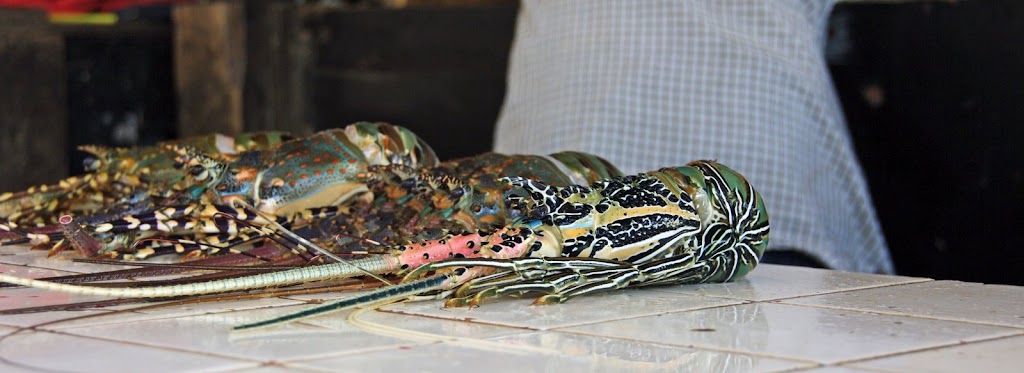 Прогулка по Дар Эс Салааму: только личные впечатления и фото