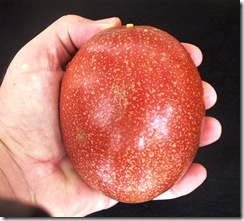 Maracuja Maca