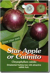 StarApple