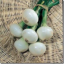 Onion Paris