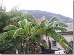 PICT0165